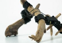 Роботы из сервоприводов и палок. «Я его слепила, из того что было»