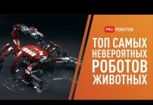 Топ самых крутых роботов животных // Pro роботов