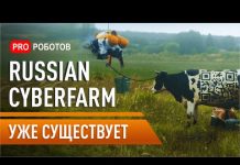 Russian CyberFarm уже существует. Роботы на фермах России