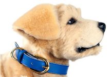 Уникальное видео про Tombot – собака-робот для домашней терапии