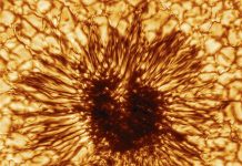 Астрономы опубликовали чёткое фото солнечного пятна