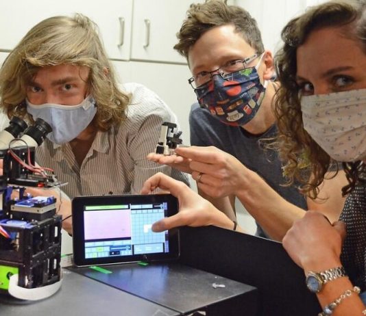 Микроскоп на основе смартфона на 3D-печатной платформе