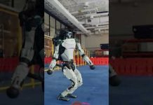 Видео роботы Boston Dynamics танцуют под русскую балалайку
