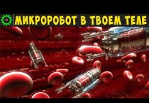 Микророботы будущего уже окружают нас и скоро захватят мир