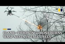Китайские дроны уничтожают осиные гнезда