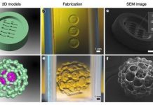 Ксолография: технология скоростной фотополимерной 3D-печати