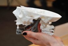 Ученые создадут биосовместимые имплантаты нового поколения