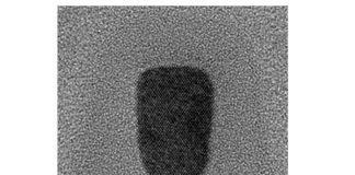 Создан самый маленький биосенсор