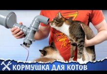 Автоматическая кормушка для котов из сантехнических труб