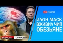 Электромобиль Apple и человекоподобные роботы