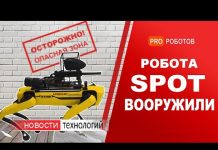 В видео робот Spot Boston Dynamics и гоночный дрон DJI