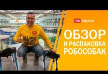 Робот собака от Unitree Robotics. Распаковка и крутые трюки