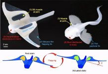 Мягкий робот для Марианской впадины
