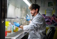 Роботизированная система делает 1000 анализов в час