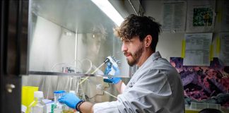 Роботизированная система делает 1000 анализов в час