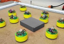 Глупые роботы обхитрили своих создателей