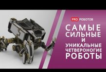 Самые удивительные четвероногие роботы года