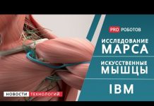 Исследование Марса и искусственные мышцы. В чём связь?