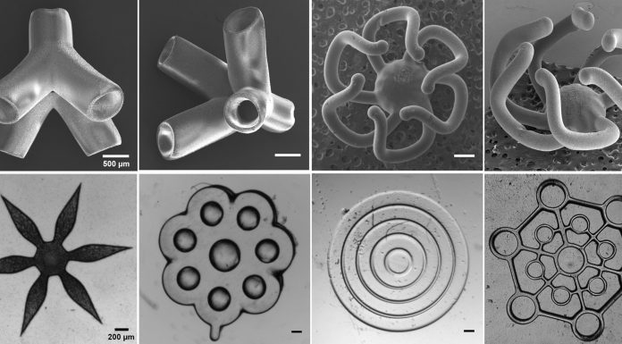3D-биопринтер печатает живые ткани