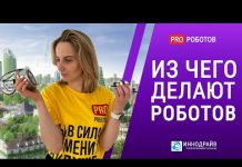 Сколько стоит разработка робота и из чего его делают