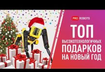 Небанальные подарки к Новому году // Топ роботов и гаджетов для подарка