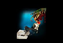 Роботов научили драться как креветок-богомолов