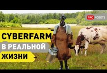 Киберферма в реальной жизни // Самая роботизированная ферма — Совхоз имени Ленина // Роботы Lely