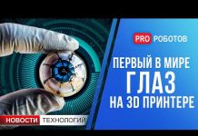 На что способна армия роботов Google? // Физики повернули время вспять // Новости высоких технологий